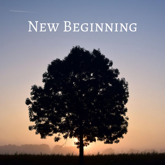 CD Cover of song New Beginning