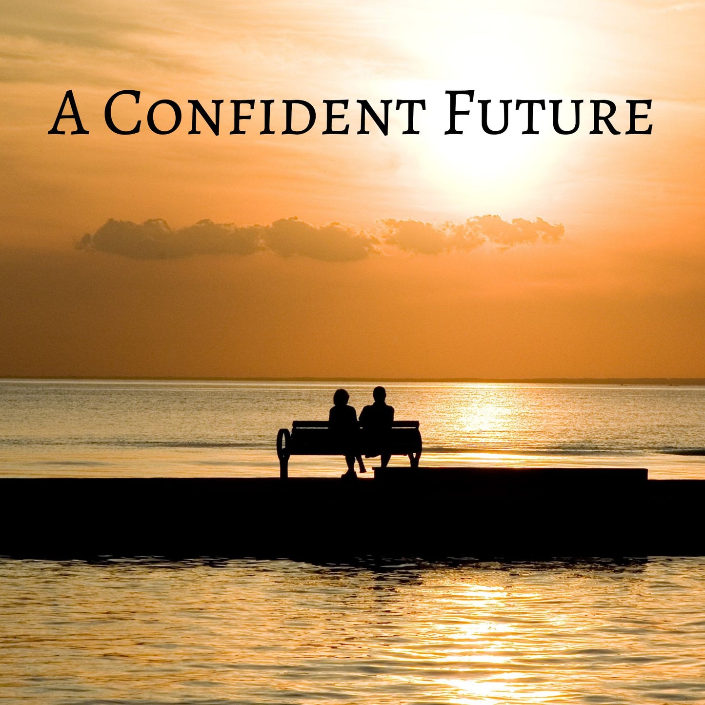 CD Cover of song A Confident Future