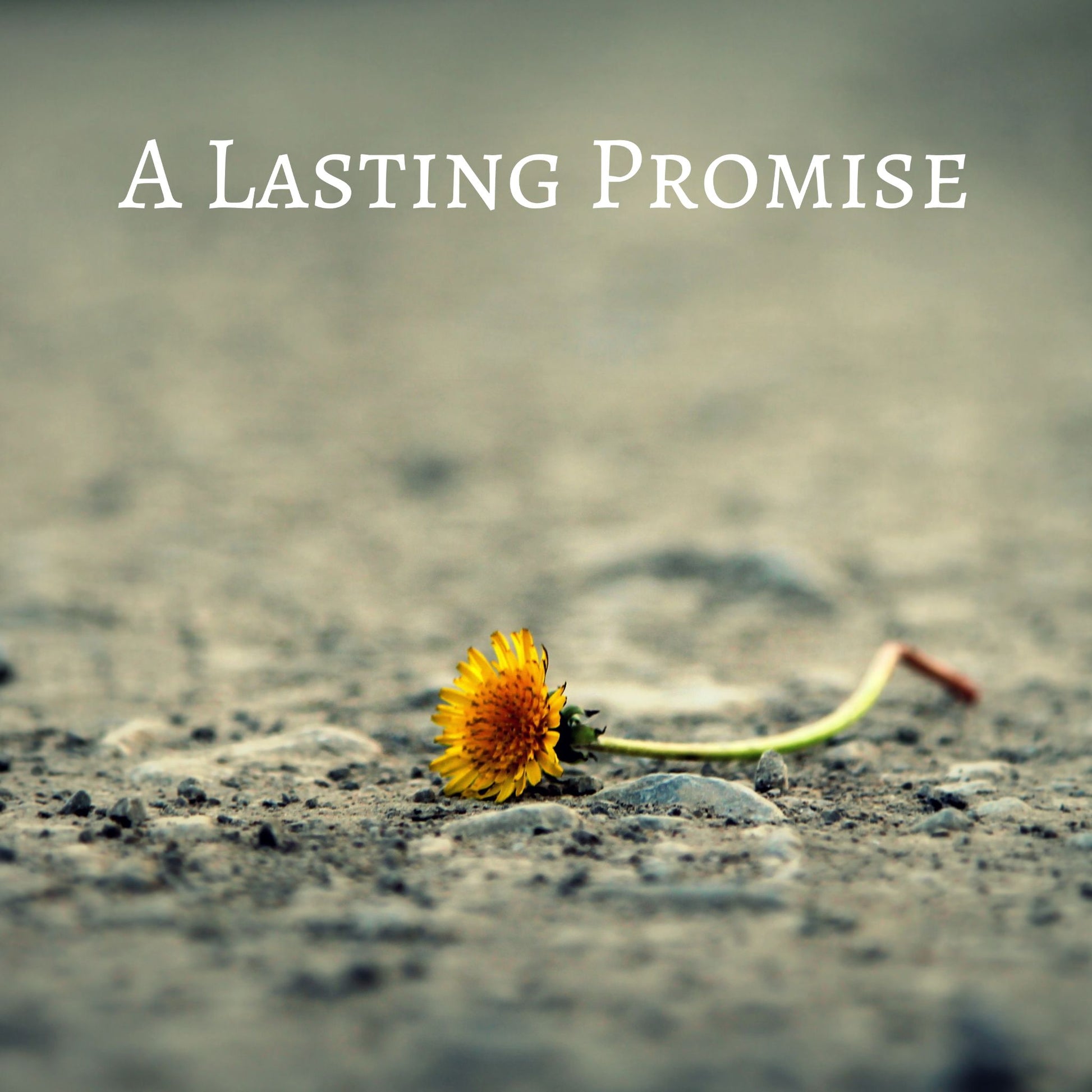 CD Cover of song A Lasting Promise