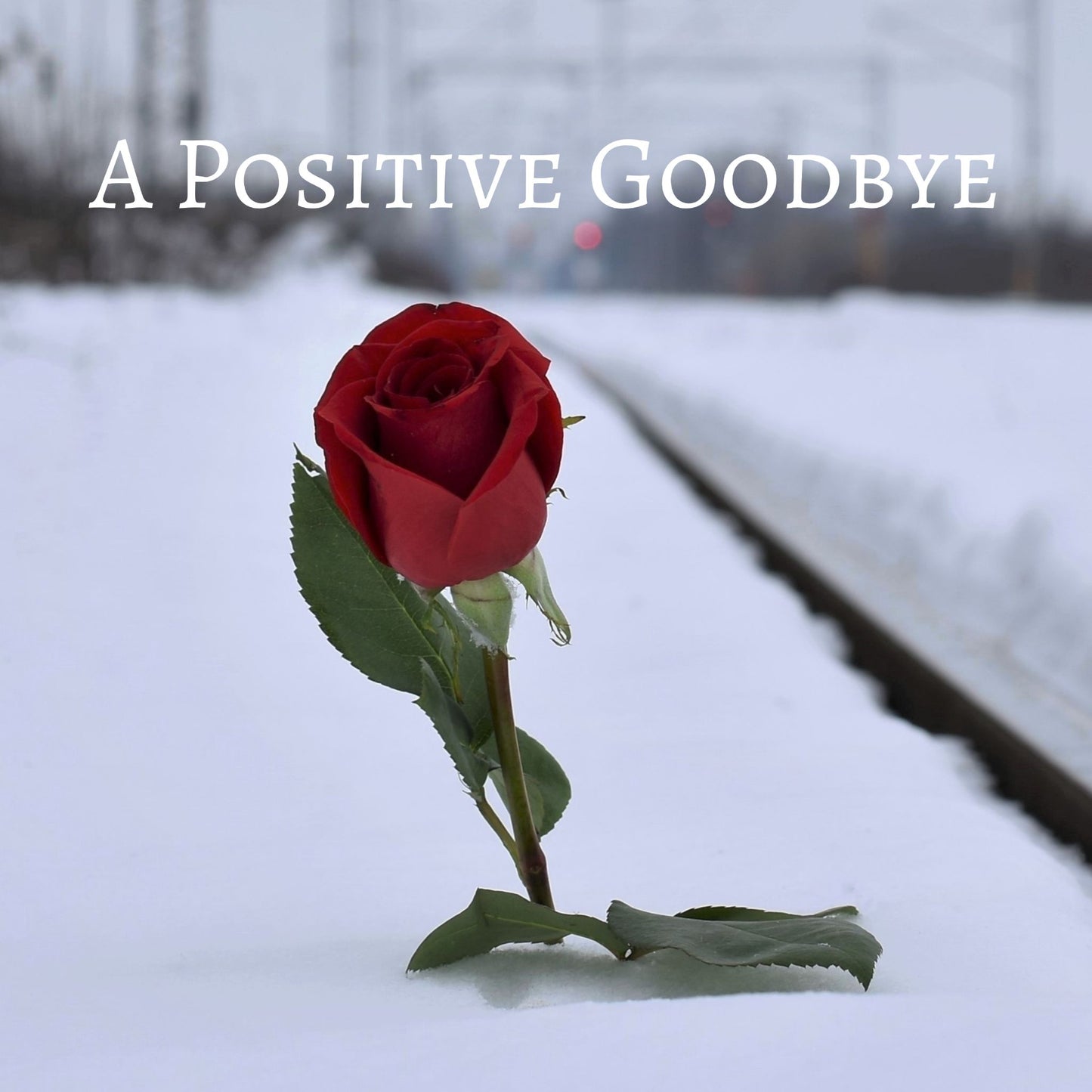 CD Cover of song A Positive Goodbye