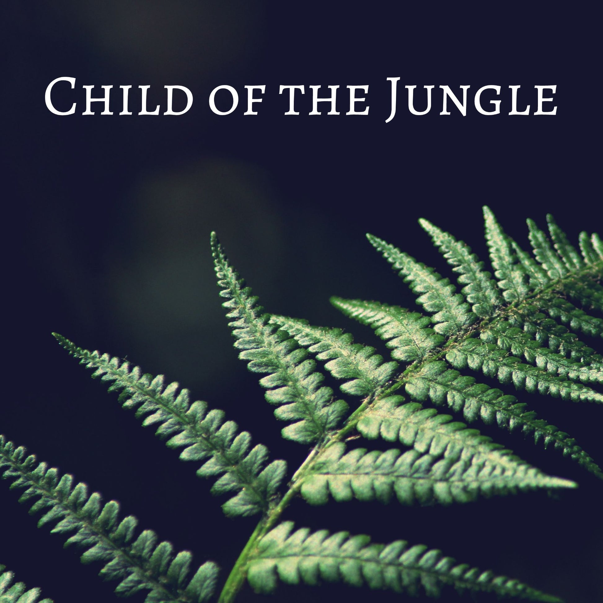 CD Cover of song Child of the Jungle