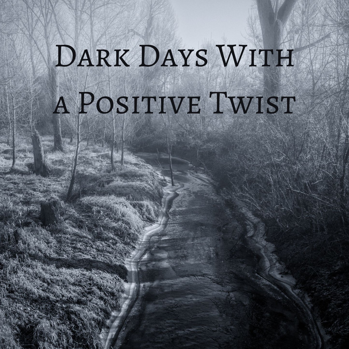 CD Cover of song Dark Days with a Positive Twist