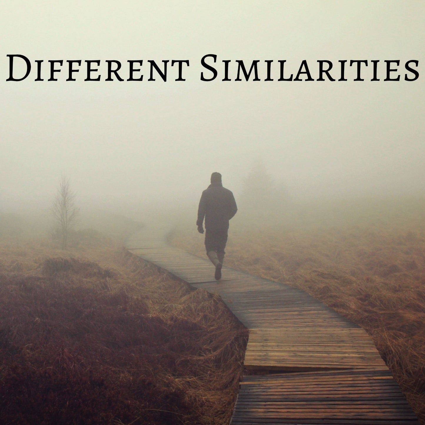 CD Cover of song Different Similarities