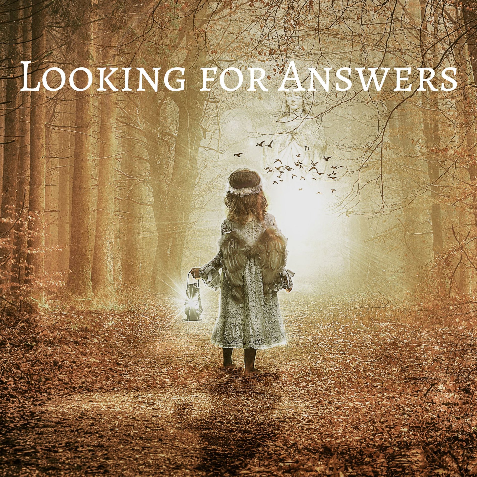 CD Cover of song Looking for Answers