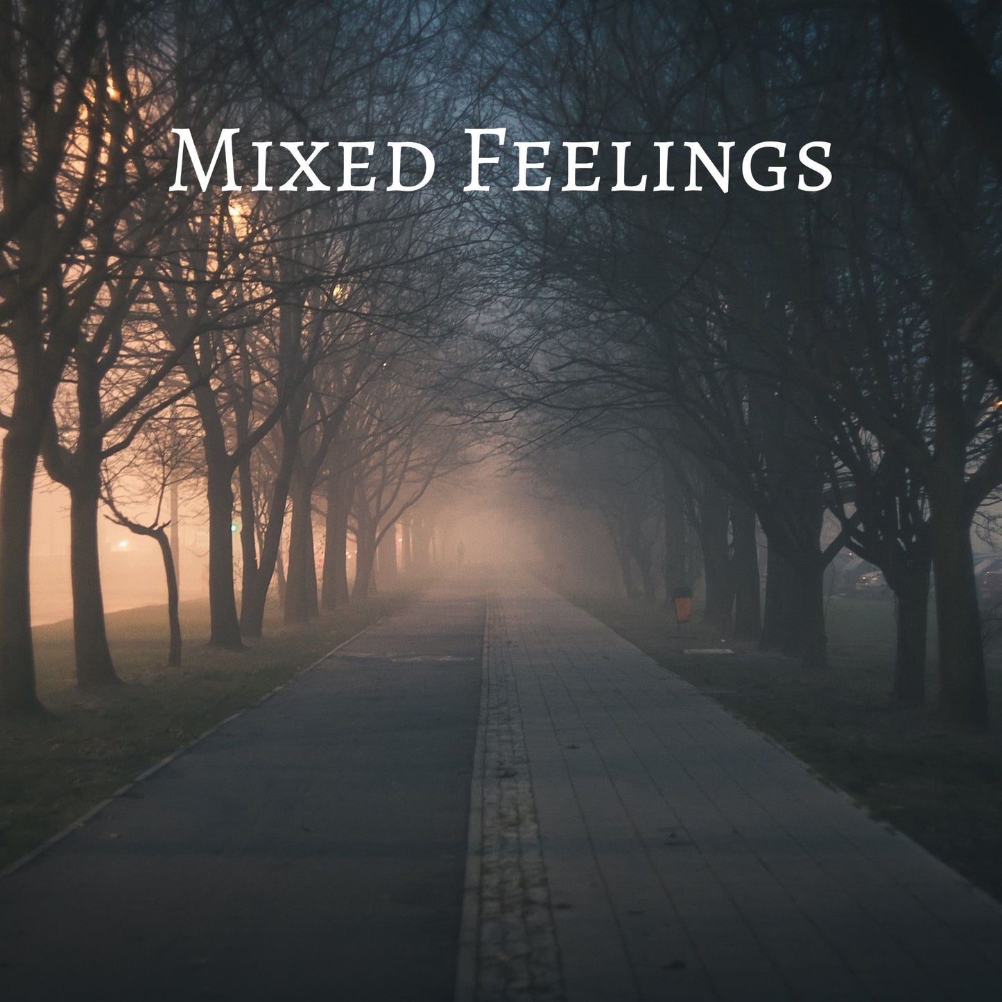 CD Cover of song Mixed Feelings