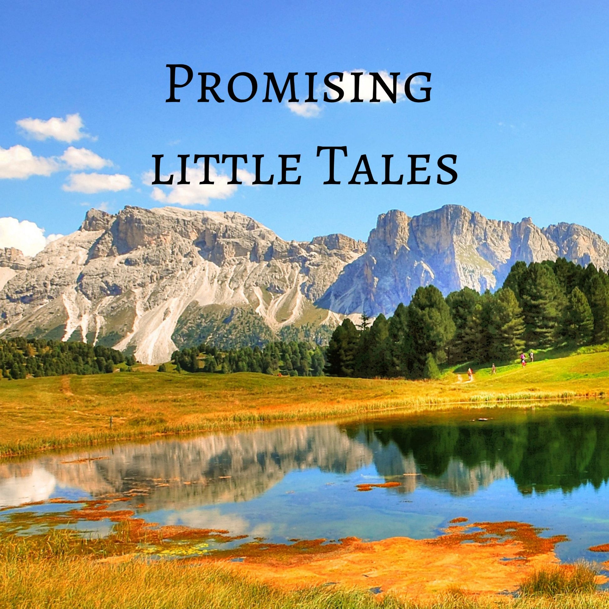 CD Cover of song Promising Little Tales