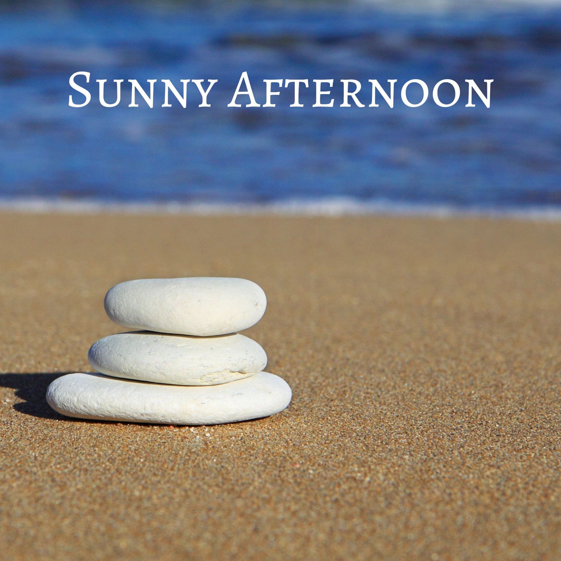 CD Cover of song Sunny Afternoon