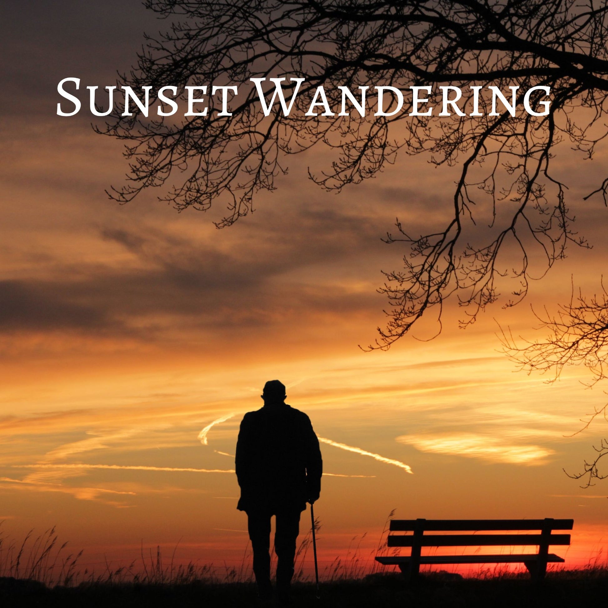 CD Cover of song Sunset Wandering