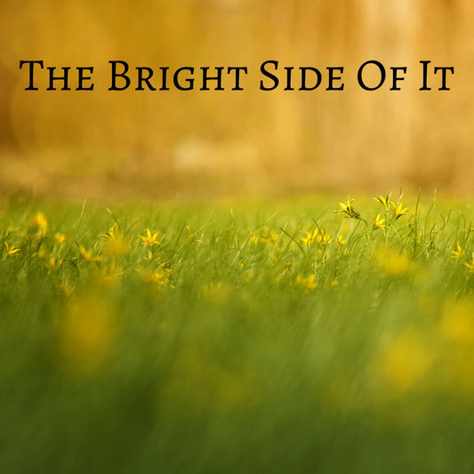 CD Cover of song The Bright Side of It