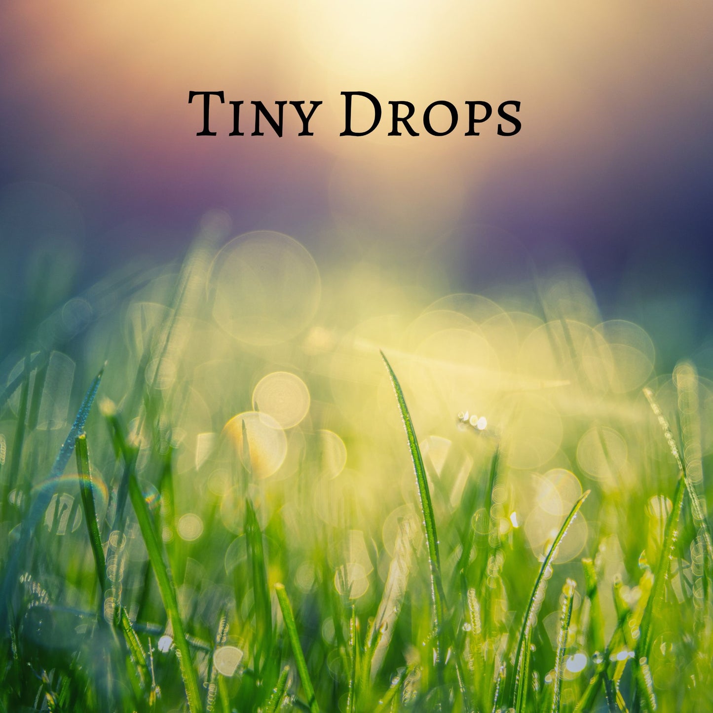 CD Cover of song Tiny Drops