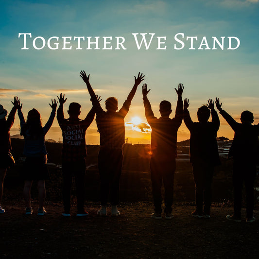 CD Cover of song Together we Stand