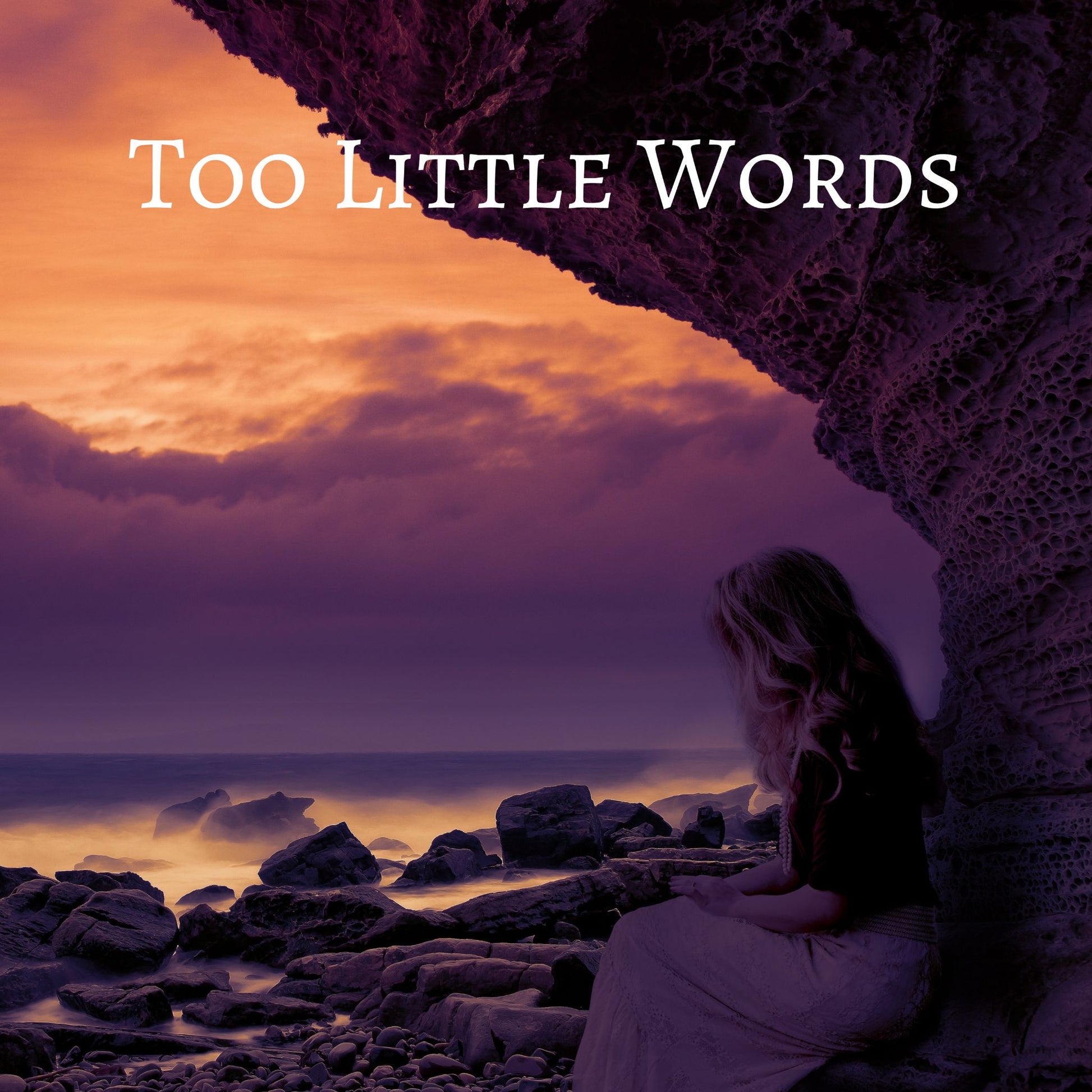 CD Cover of song Too Little Words